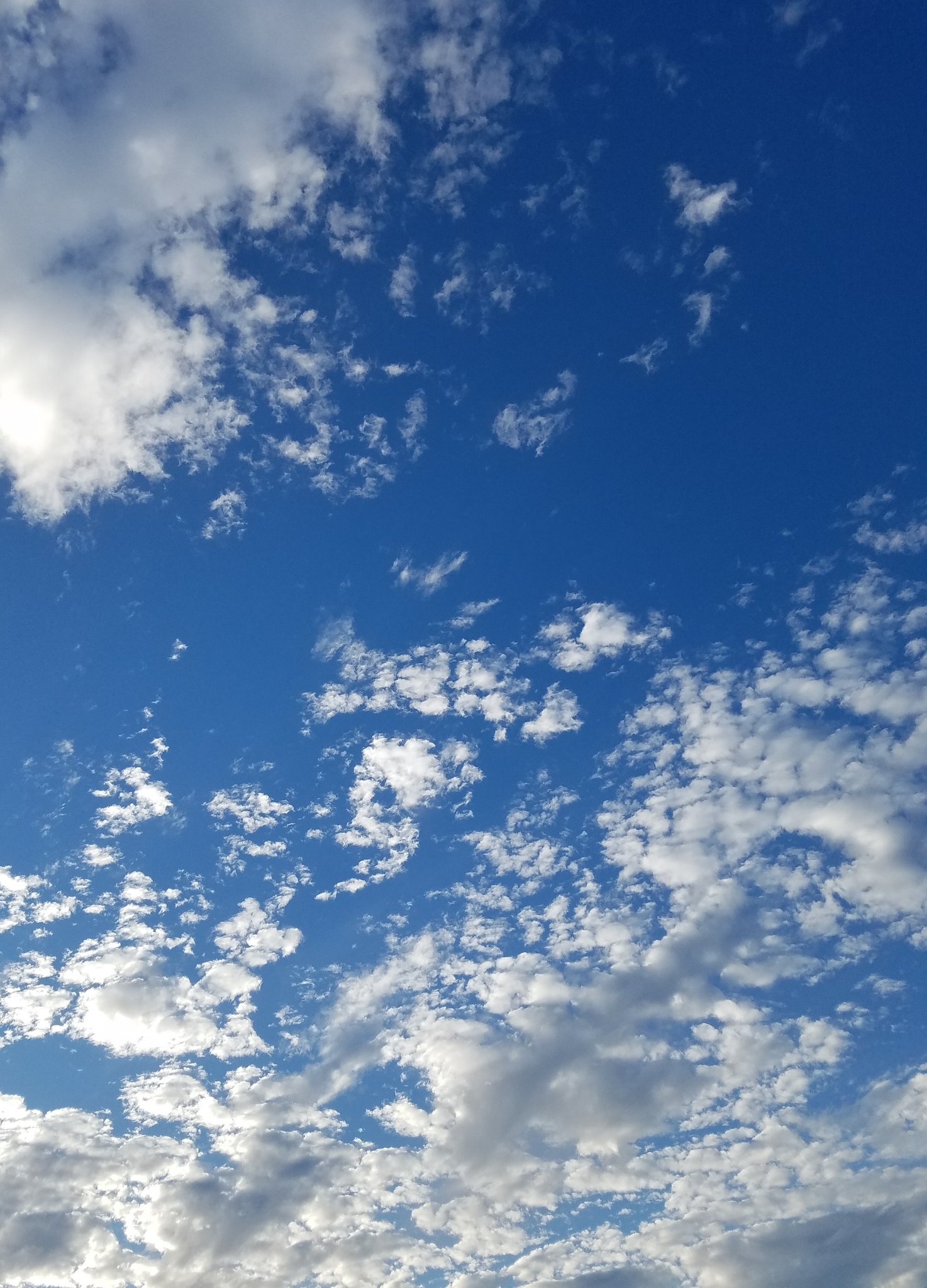 玄米爺 綺麗な空と流れる雲を見てると 背景描く人生頑張ろってなったそんな1日でした さ 晩御飯の準備だ 玄米爺 綺麗な空と流れる雲を見てると 背景描く人生頑張ろってなったそんな1日でした さ 晩御飯の準備だ