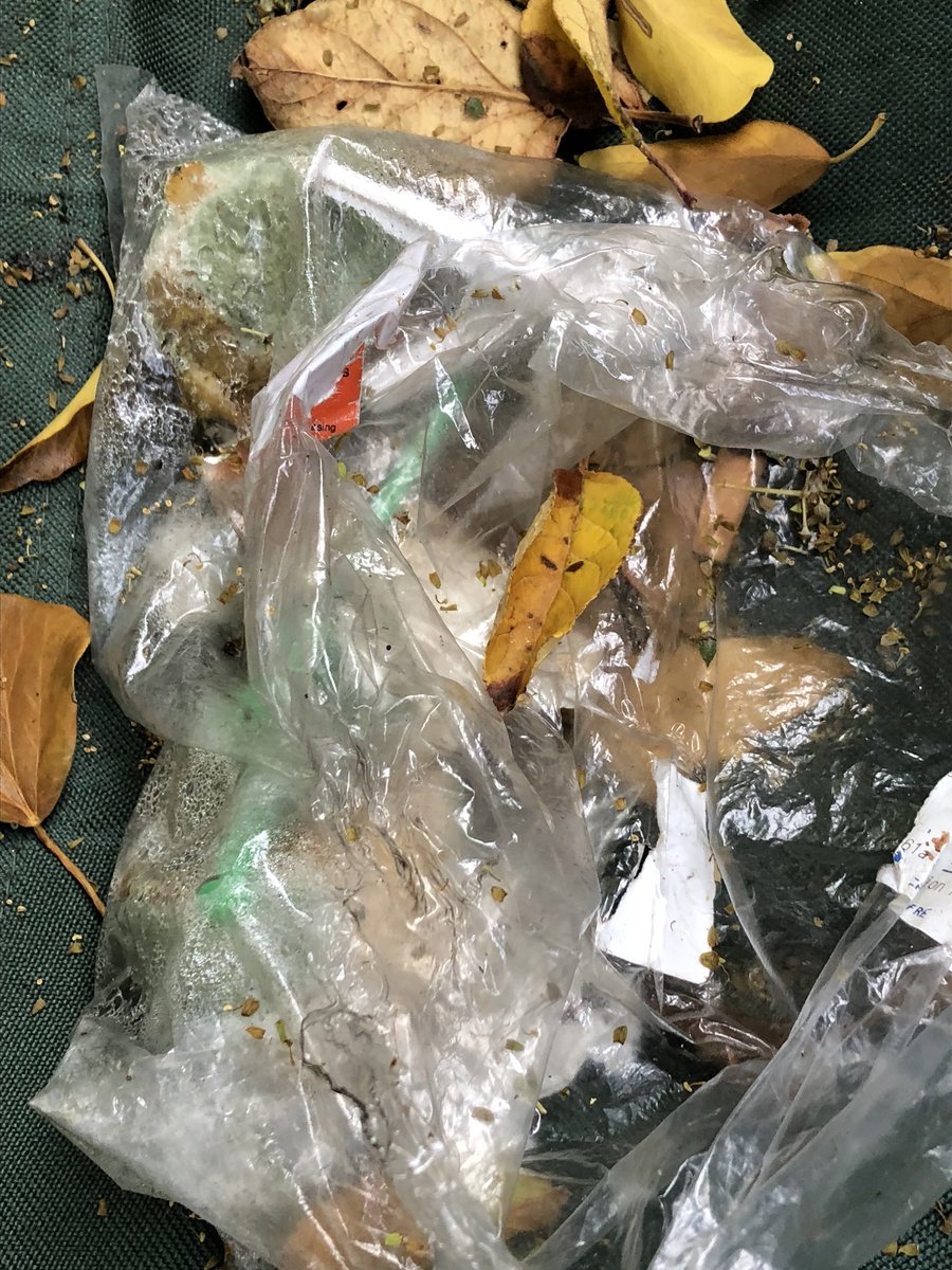 BeyondmilkIBCLC's tweet photo. @canterburycc I reported this area full of used IV needles and prescription meds Friday. It’s still there today. 2m off public path to local school. #whitstable #publichealth https://t.co/wfZxm0N9Ca