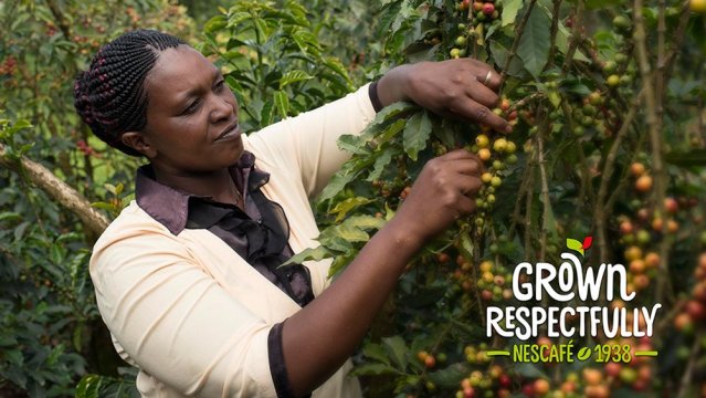 Coffee #GrownRespectfully means that in Kenya, thousands of women have benefited from an empowerment program, to help them run co-operatives: bddy.me/2IC1oVk #WithRespectWeAllGrow #NescaféPlan bit.ly/2y8qAPz #WeAreNestlé