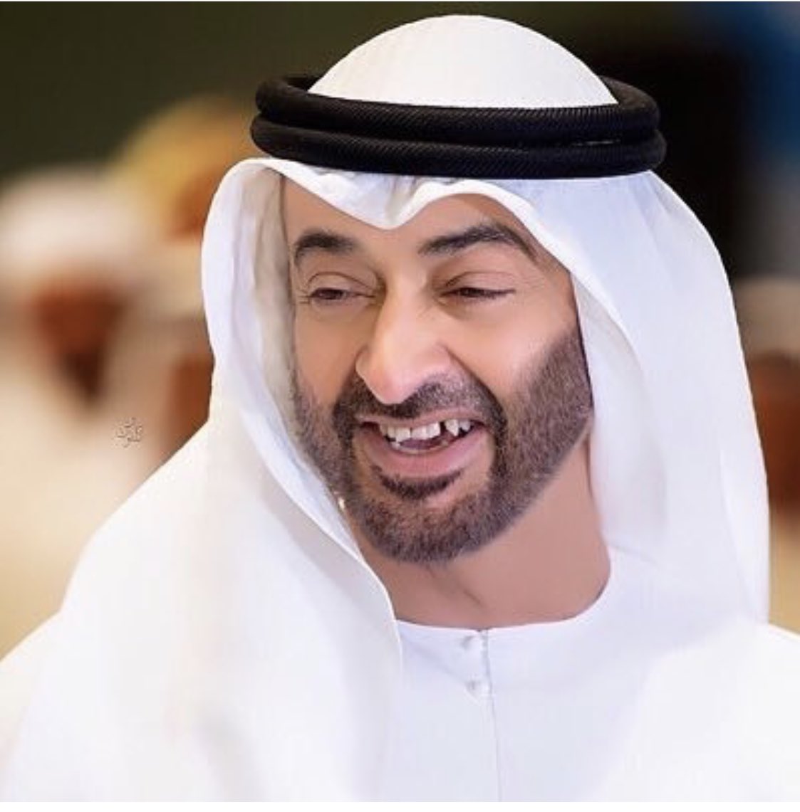 UAE_patriots's tweet photo. #محمد_بن_زايد 
#مجلس_محمد_بن_زايد_لأجيال_المستقبل
لازلنا نعيش في كنف قيادةٍ همها الأول الإنسان والدفع بالشباب للمضي قدماً بخطوات ثابتة للسمو بهذا الوطن في كل المجالات التي من شأنها التربع على عرش التميز بالتقدم والإزدهار. https://t.co/R8kzfdev84