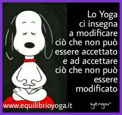 YogaBhadra's tweet photo. https://t.co/K9iD1FJB1o