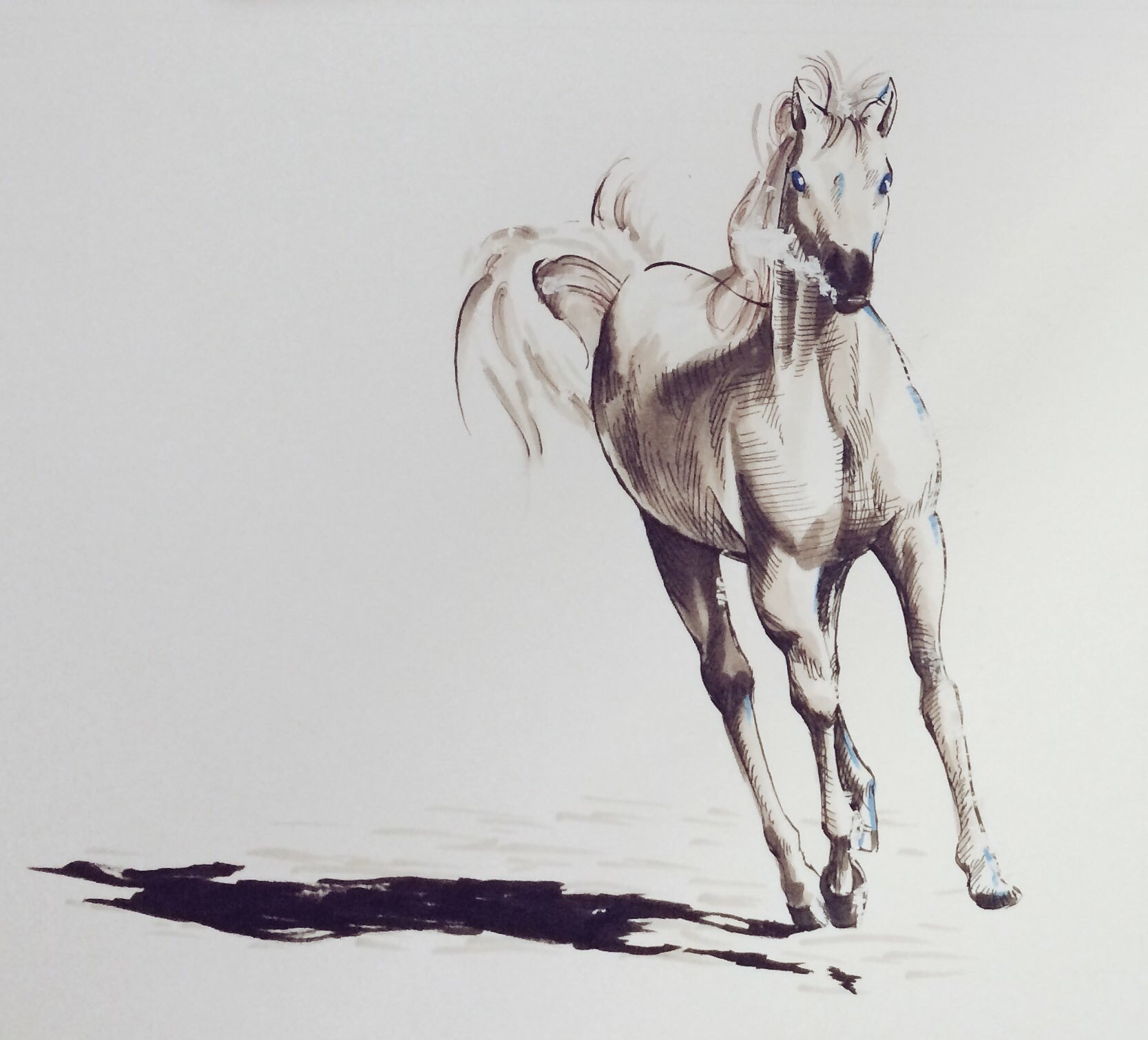 馬の絵 ぐっちょん馬の絵 (@satobon999) • Instagram photos and videos