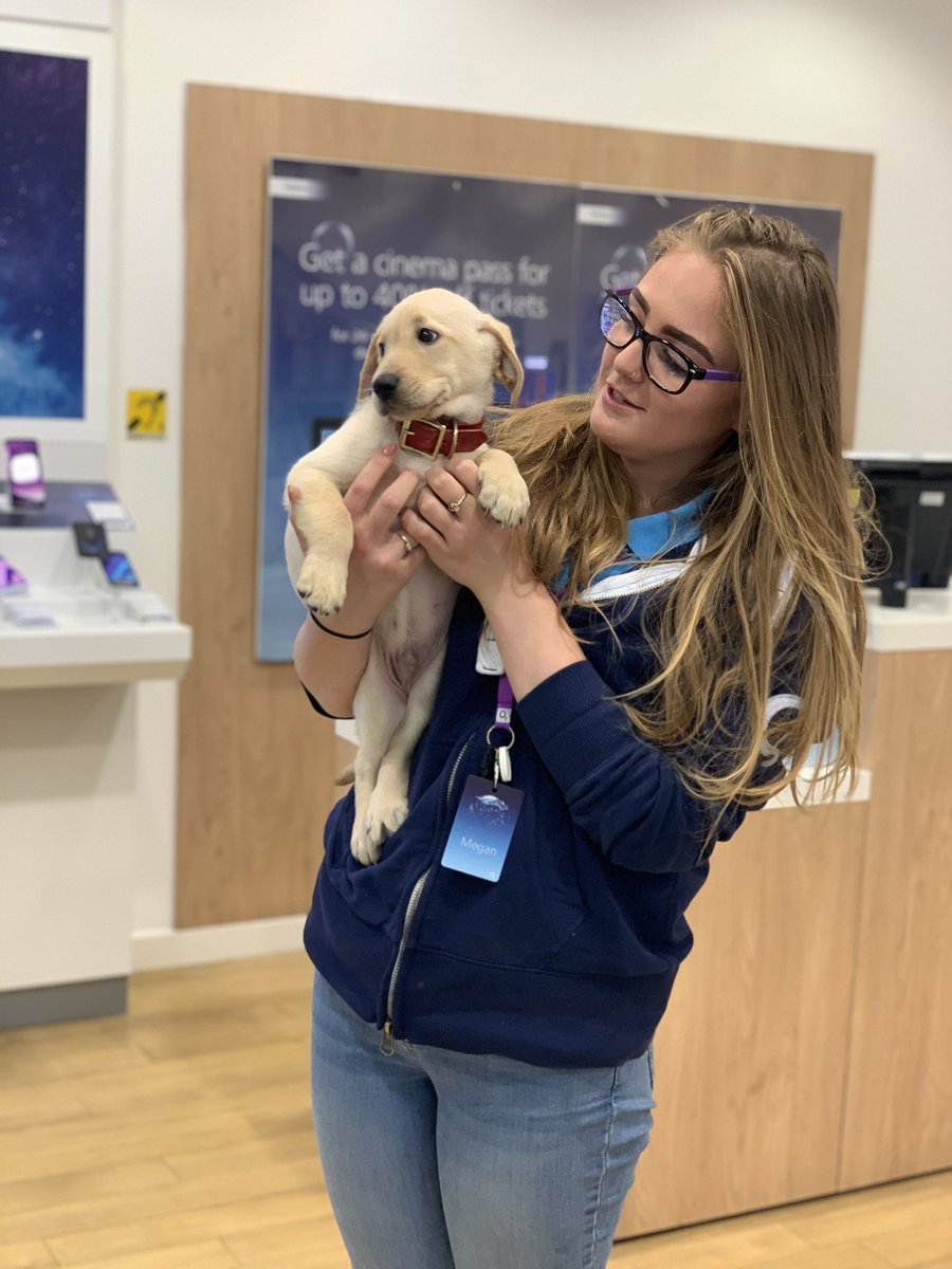 TD_Morpeth's tweet image. It’s not just humans who want to come see our amazing deals at #o2morpeth. Our little puppy visitor made all our days this morning 😁#MondayMotivation #labrador 

@lindasfjones @neilstorey1 @O2 @daleclark22 @ajleems @SandersonArcade
