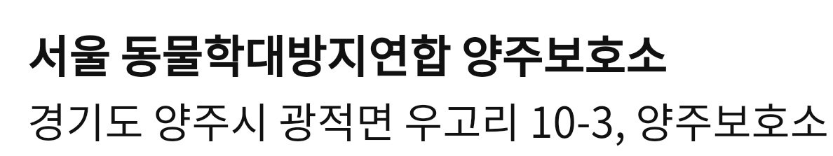 수영과동주 tweet media
