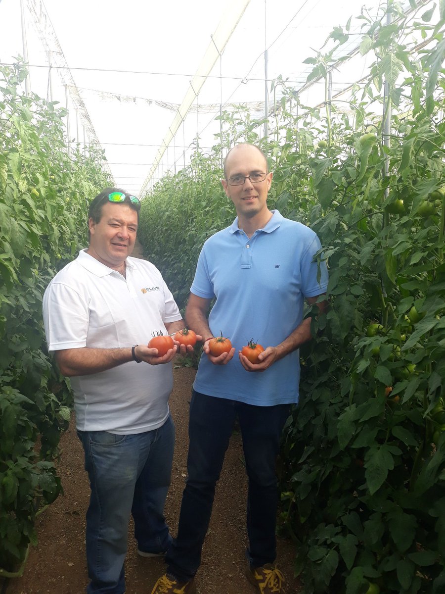 Visitando una finca de KABRERA 🍅

Producción, sabor y calibre asegurado!

#Clause #Vegetable #Seeds