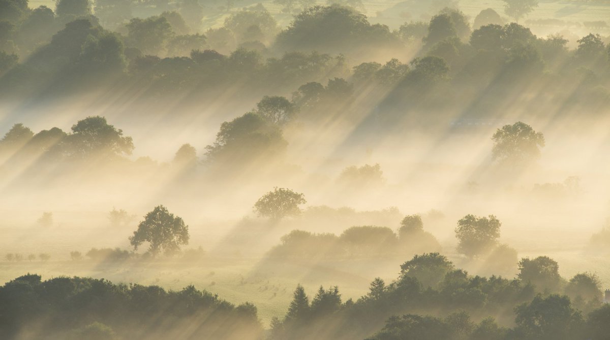 L.Type (@ltypeprints) on Twitter photo 2 DAYS LEFT - Have you entered your image for the British Photography Awards yet? Competition closes on 10.10.18.
Here's an image by Wayne Brittle - a participant from last year's competition. britishphotographyawards.org
<a href="/GBPhotoAwards/">🇬🇧British Photography Awards</a>
#photography #photographer #awards 2 DAYS LEFT - Have you entered your image for the British Photography Awards yet? Competition closes on 10.10.18.
Here's an image by Wayne Brittle - a participant from last year's competition. britishphotographyawards.org
<a href="/GBPhotoAwards/">🇬🇧British Photography Awards</a>
#photography #photographer #awards