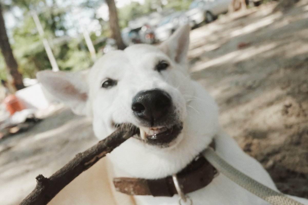 GlutaStory's tweet image. สีหน้าของคุณเมื่อโดนเพื่อนนินทา แต่พูดกับตัวเองว่า ข่างหัวมัน