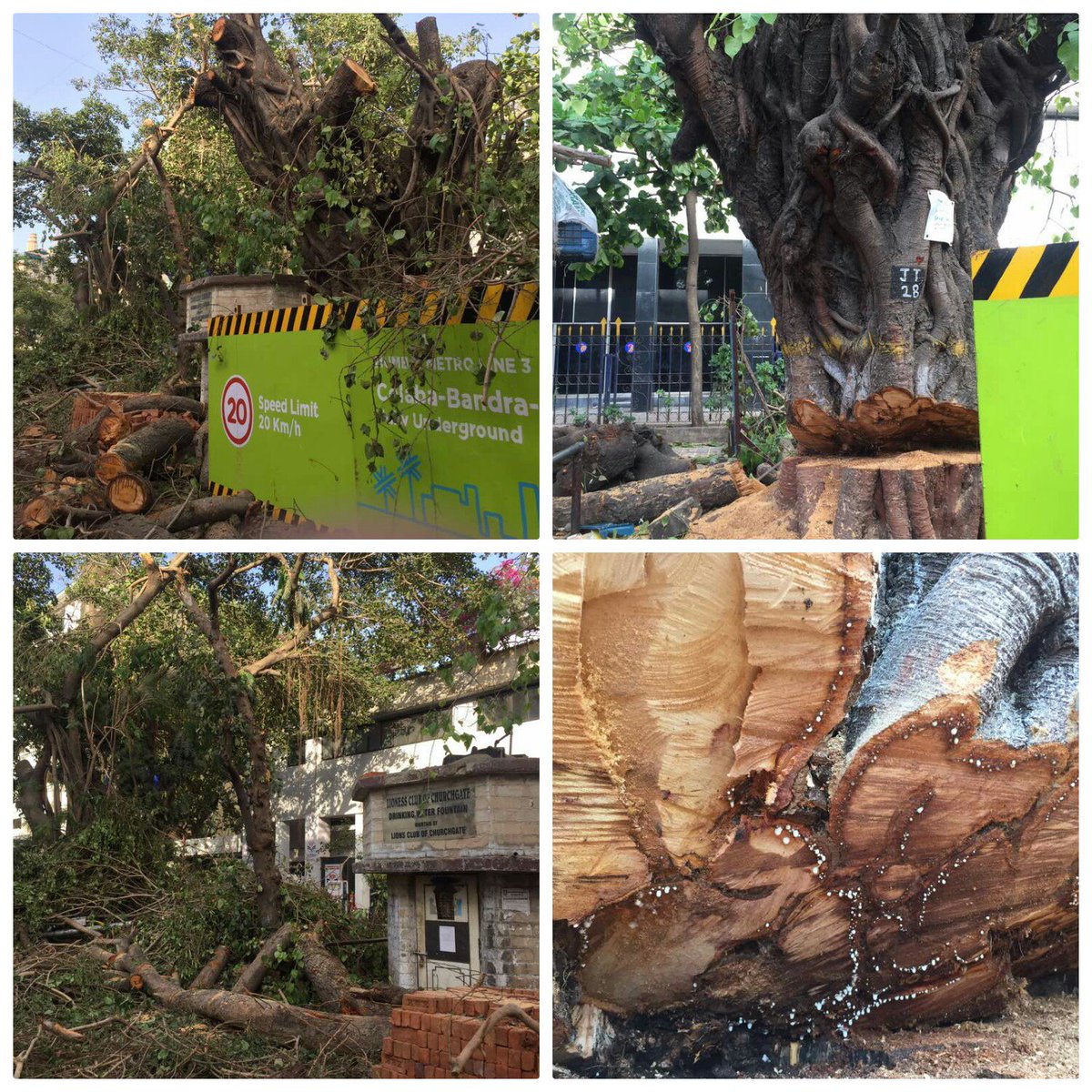 Nayana_h_pai's tweet photo. @terence_fdes @fayedsouza @zoru75 How would such a committee ever appreciate the need to safeguard this city ! Feels like as if courses in environmental matters are just limited to university campuses
Their application to do urban planning is no leadership's agenda. Such sad state of affairs!#whenitallgetstough https://t.co/npHuDaO9mX