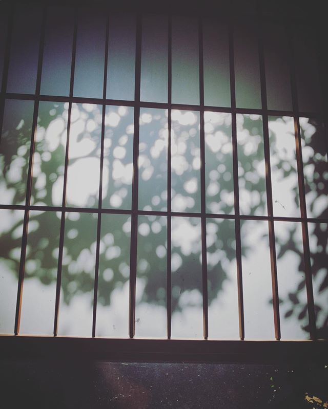 Japanesewindow Twitter Search Twitter