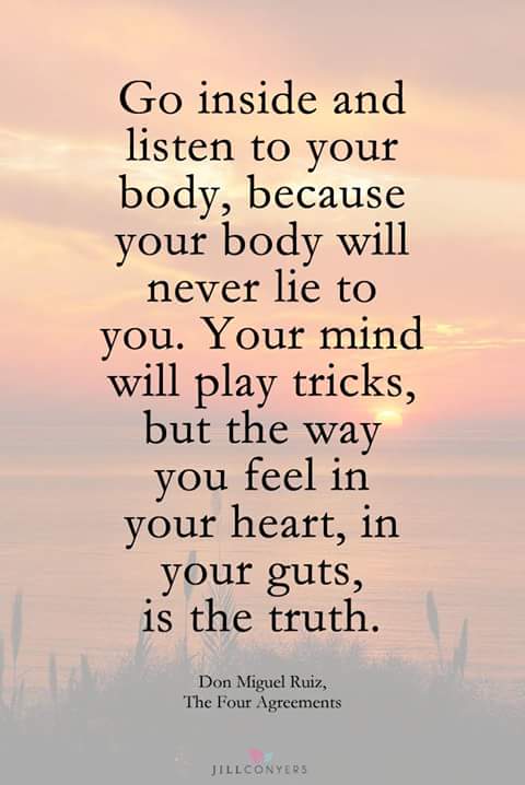 Trippy Hippy Trippyhippy96 Twitter twitter