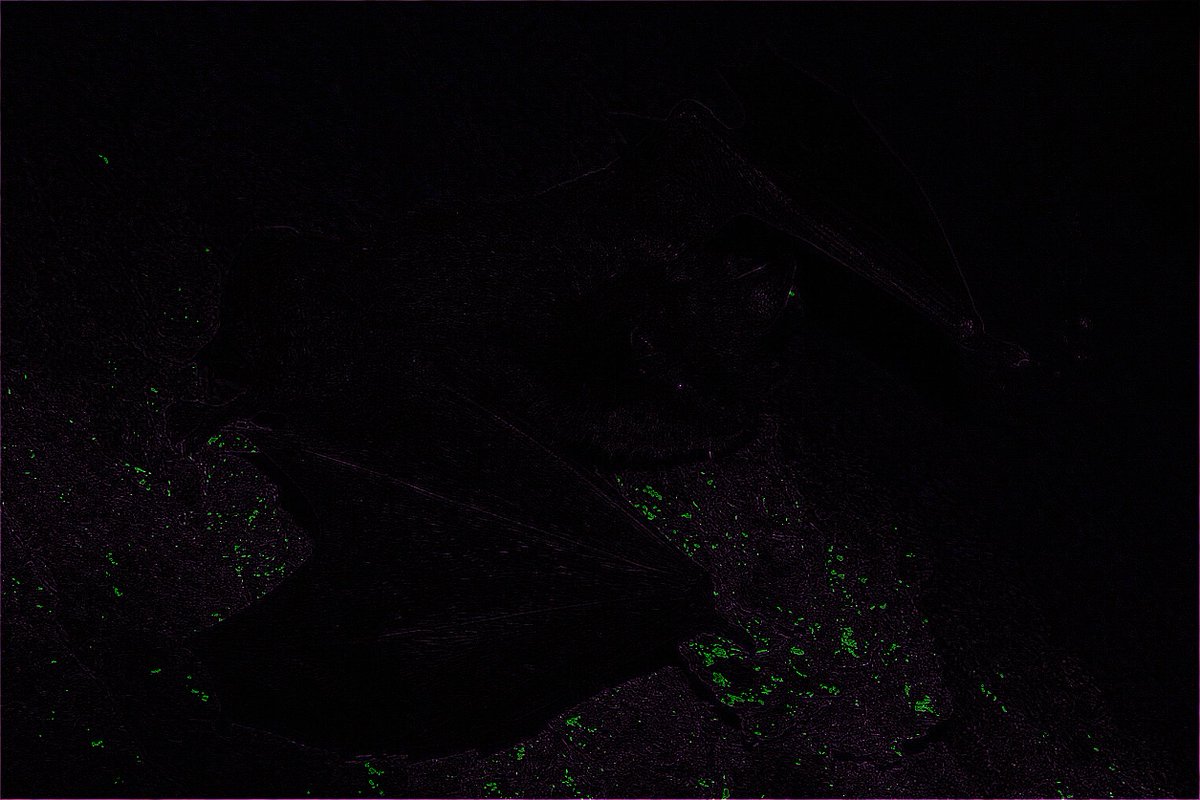 alien_ontology's tweet image. While preliminary entity mortality data from the mountaineer site theyre included in the ba, the entire data set was not available to be evaluated. #aliendata