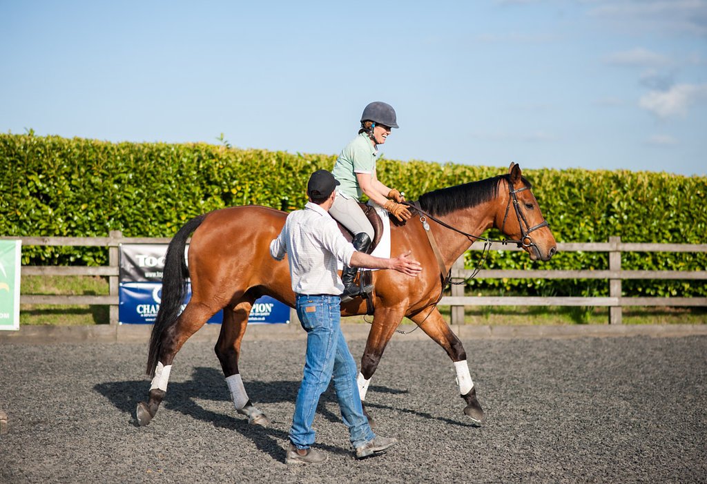 YHorsemanship's tweet photo. Take advantage of the Indian Summer we've been having and get yourself booked onto one of our clinics - there's something for everyone! https://t.co/NibEFjMgHP https://t.co/novKjDOLin