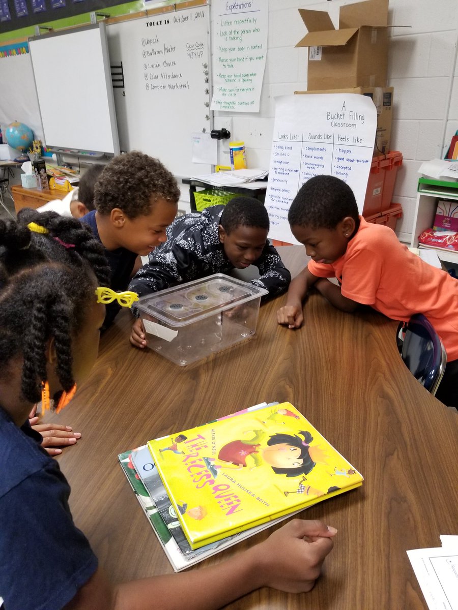 candacecates's tweet photo. A baby frog hopped on my students backpack on his way to school.  Instant class pet.  #nhcschat #frogsneedtolearntoo #scienceislife @katebtayloe @AldermanEagles https://t.co/T1lsqB74v9