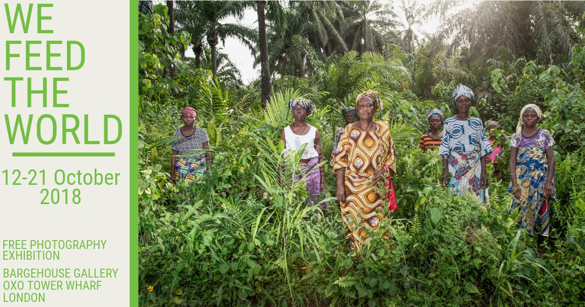 Alice Phillimore tweet media