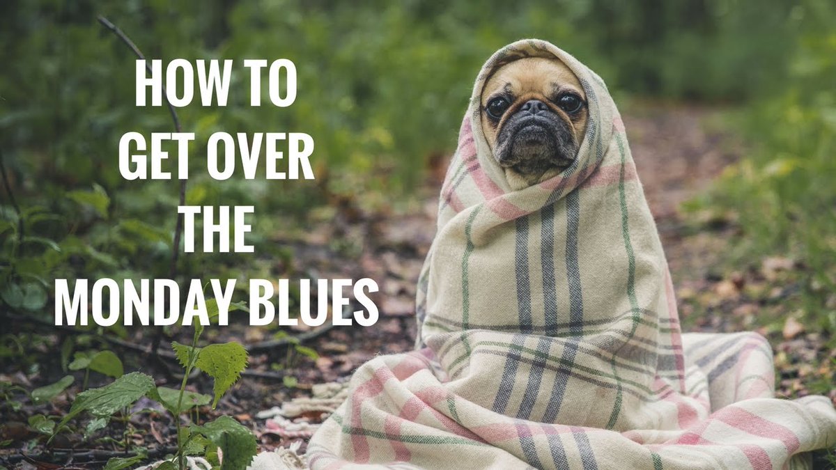 SamTWEducation's tweet image. Does #Monday have you feeling like this? Ongoing cover work and loads of opportunities available #newjob #teaching #jobs #education #buckinghamshire #bedfordshire