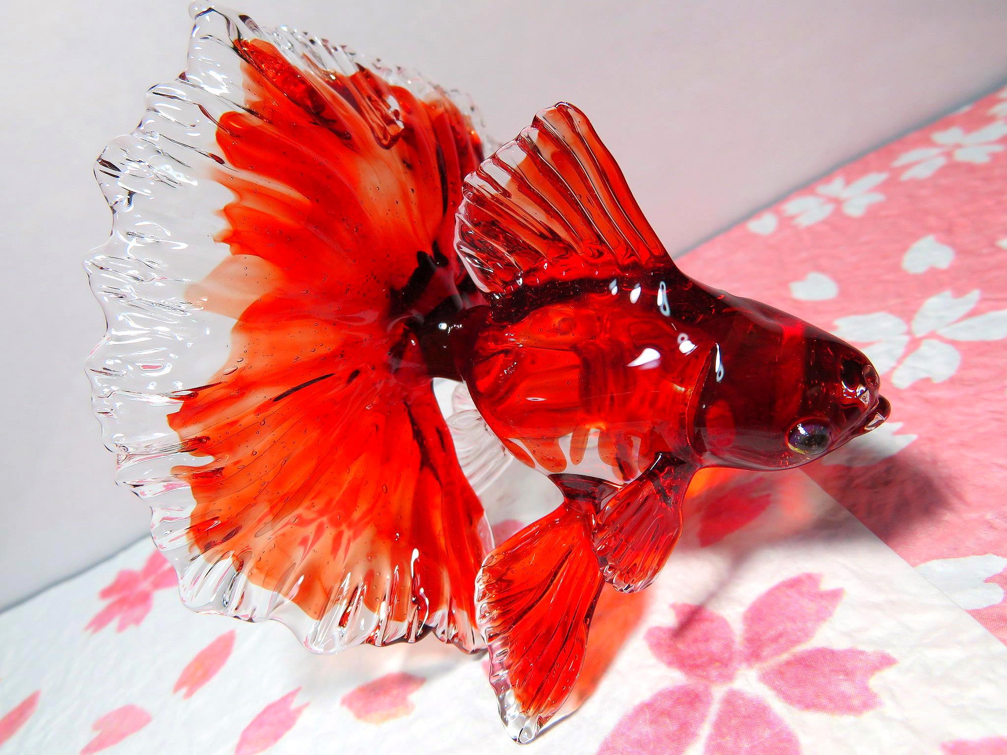 تويتر Ksk على تويتر 硝子造型士 穂坂英樹さん Flame Works の金魚18の赤い金魚です サイズは縦幅約6cm 横幅8cm 高さ8cmです とても可愛らしく鮮やかな赤色がとても綺麗な金魚です 尾ヒレも大きく美しいです 穂坂英樹 金魚 ガラス細工 ガラス