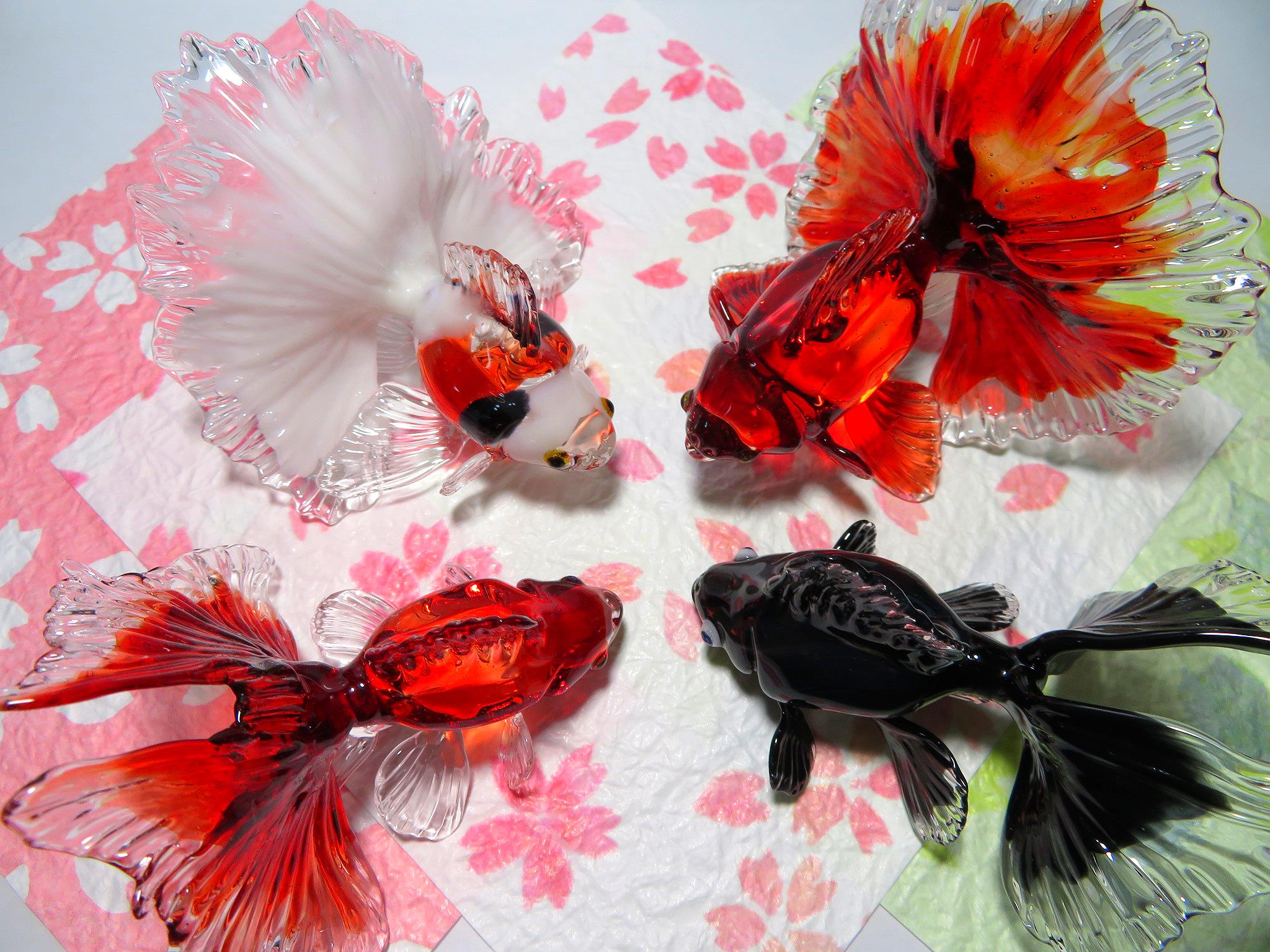 تويتر Ksk على تويتر 硝子造型士 穂坂英樹さん Flame Works の金魚18の赤い金魚です サイズは縦幅約6cm 横幅8cm 高さ8cmです とても可愛らしく鮮やかな赤色がとても綺麗な金魚です 尾ヒレも大きく美しいです 穂坂英樹 金魚 ガラス細工 ガラス