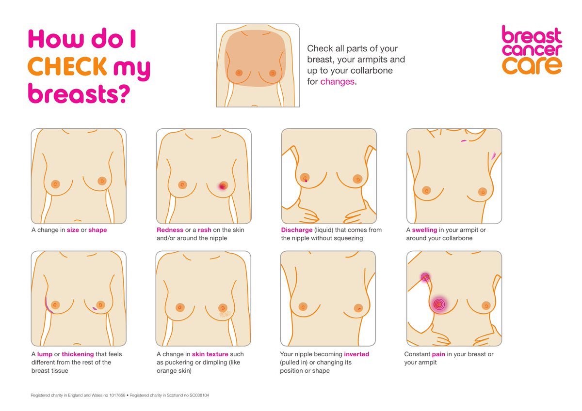 Just How Important Is Breast Size In