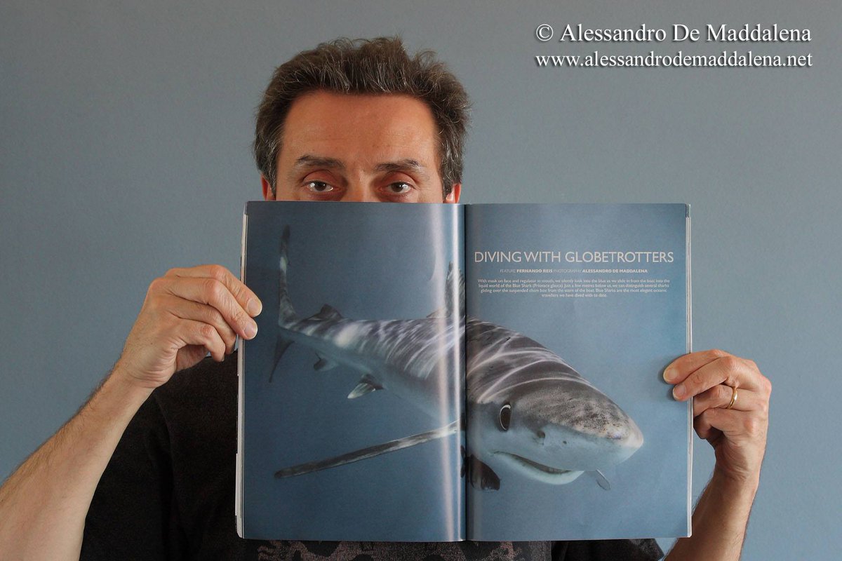 sharksfernando's tweet photo. A big thank you to our good friend Alessandro di Maddalena by his illustration of my article about Blue Sharks' Diving on the @EDA_UAE magazine :)
#sharksinstitute
#sharkseducational
#sharkeducation
#respectwildlife
#respectnature https://t.co/ZlLmgR3ycV