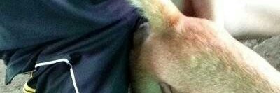 8Zoox18's tweet photo. แนวโบโบ้ก็มี. สนใจเข้ากลุ่มทักเลย https://t.co/RDbQYc3xNX