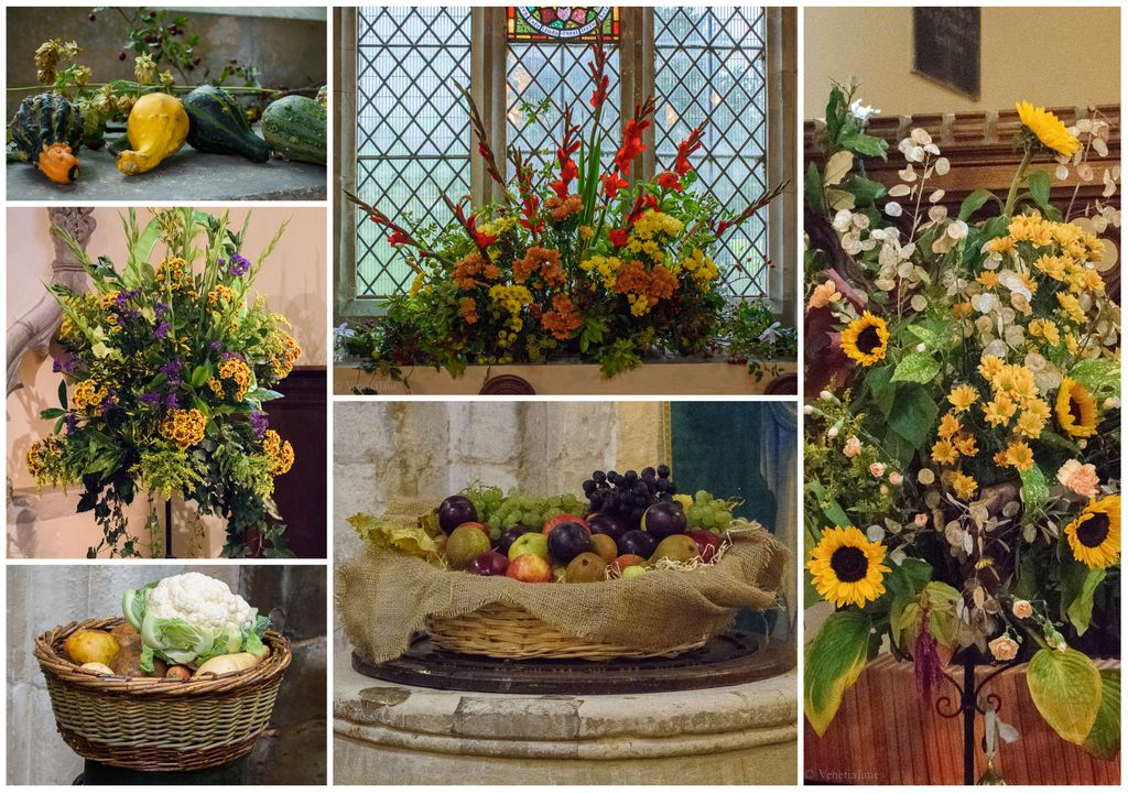 VenetiaJane's tweet photo. "The seasons of the year,
Their various blessings bring;
What beauteous scenes appear,
Thro' all the blooming spring:
But harvest is the crowning time.
Of all the seasons, still the prime." - Ancient Harvest Hymn #October #autumn #HarvestFestival https://t.co/uM6NlZvwqG