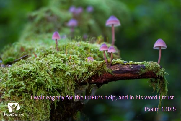 Hope Channel International (@hope_channel) on Twitter photo 