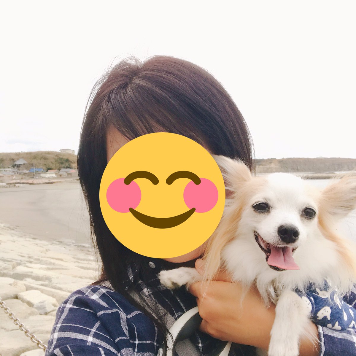 anzu0215's tweet photo. 今日は銚子まで
ドライブ🚙💕

久しぶりに犬岩や屏風岩を
見ながら散策したり
灯台の周りをおさんぽして
ワンコ🆗のお店で
ランチ🍽したり♡

ココさん、久しぶりの海岸で
大はしゃぎでした😆💕

#銚子 #犬吠埼 #海
#ペット可 #ランチ #犬連れ
#海づくし #海鮮丼  
#ビションフリーゼ
#チワワMIX https://t.co/rsO0N3yWNq