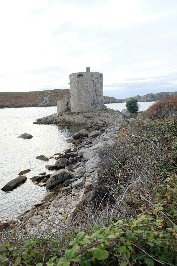 Isca_Photo's tweet photo. #islesofscilly #Tresco #islesofscilly https://t.co/FKG6bbWAFi