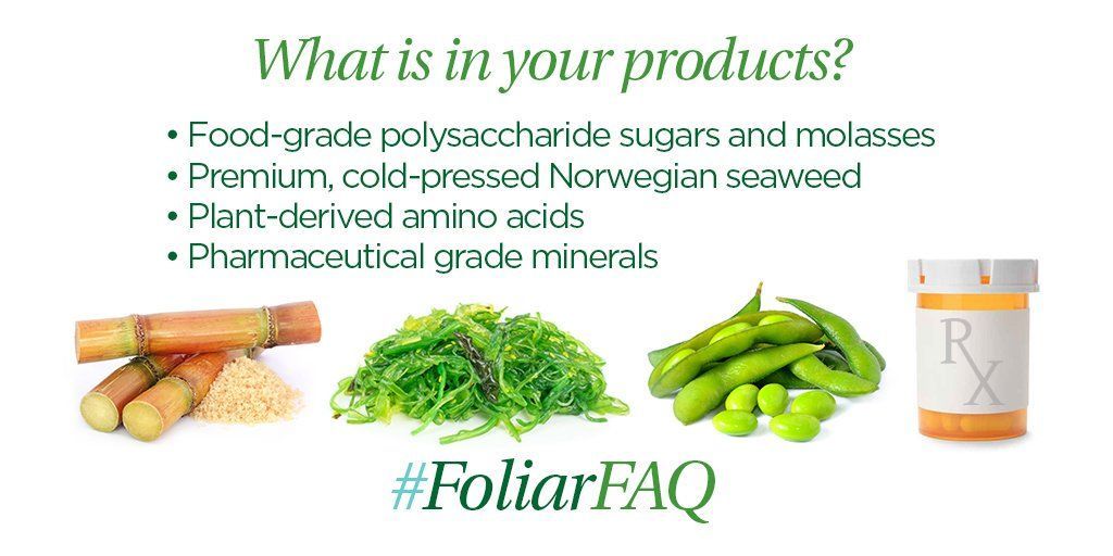 FoliarPak's tweet photo. Foliar-Pak products contain quality ingredients including food-grade polysaccharide sugars and molasses, premium cold-pressed Norwegian seaweed, plant-derived L-amino acids, and pharmaceutical grade minerals. #FoliarFAQ #FoliarPakMania https://t.co/igQQzQYaTx