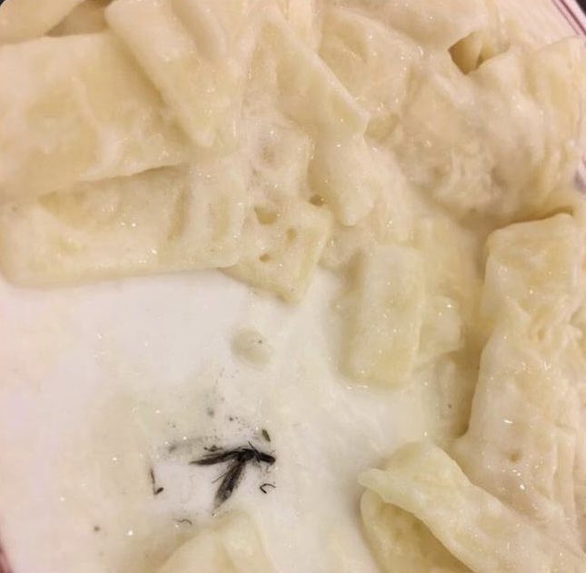 اجيال Ajial 🇰🇼 tweet media