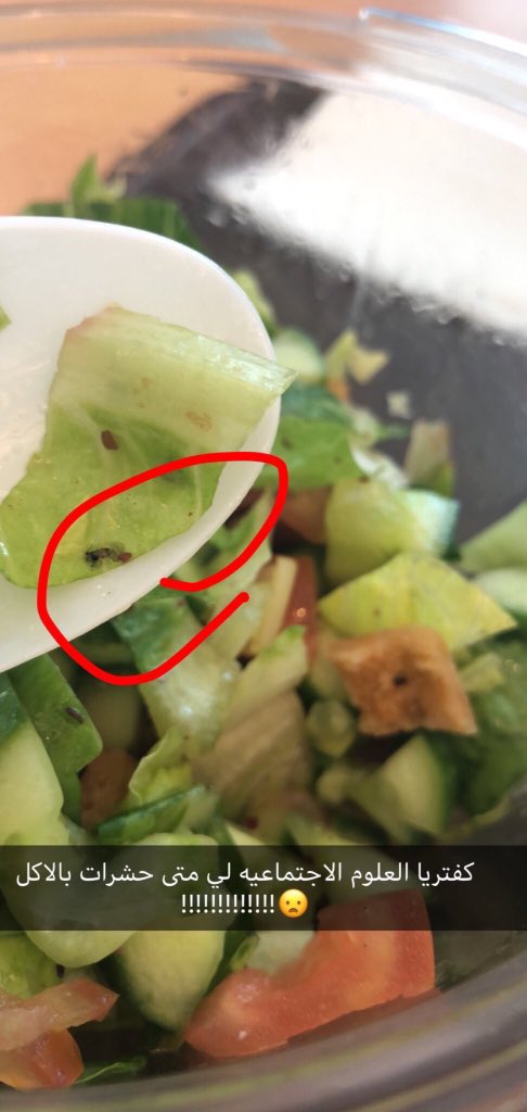 اجيال Ajial 🇰🇼 tweet media