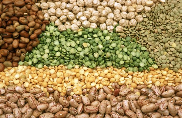 CooperativeAgro tweet media