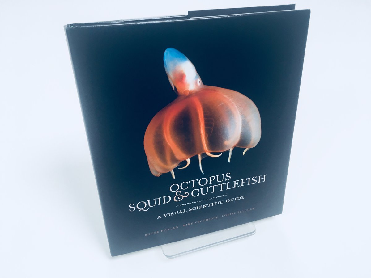 💥🐙 We're giving away THREE copies of the brand new @QuartoExplores book 'Octopus, Squid &amp; Cuttlefish'. Simply RT by Mon 15th Oct for a chance to win. 🦑💥 #cephalopods #giveaway