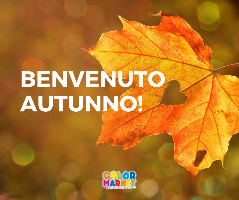 ColorMarketBo's tweet image. Ma quanto ci piacciono i colori dell'autunno? Gialli, arancioni, marroni, bordeaux, verde bosco... qual è il tuo preferito? #èsempretroppo difficile scegliere #autunno #colors