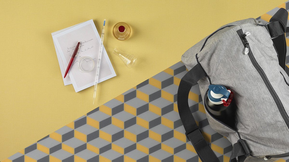 conceptevo's tweet image. Culoarea este centrul soluțiilor de pardoseală PVC. Acestea pot fi proiectate pentru a crea atmosfera interioară cea mai potrivită: fie energizantă și stimulantă sau calmă și pașnică, în funcție de destinația spațiului. 
#pardoseliprofesionale #pardoseliPVC #pardoseliTarkett