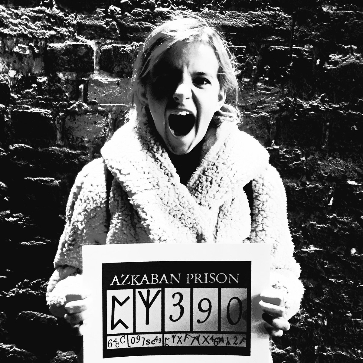 Yellow Moon Tours tweet media