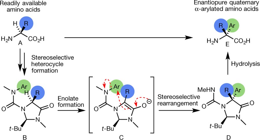 European Research Council (ERC) (@erc_research) on Twitter photo A new way to modify amino acids, useful for synthesizing new medicine molecules. “This work allowed us to turn what was a scientific curiosity into (something) really practical" Jonathan Clayden, ERC grantee <a href="/BristolUni/">University of Bristol</a> describes his discovery: bristol.ac.uk/chemistry/news… #EUfunded A new way to modify amino acids, useful for synthesizing new medicine molecules. “This work allowed us to turn what was a scientific curiosity into (something) really practical" Jonathan Clayden, ERC grantee <a href="/BristolUni/">University of Bristol</a> describes his discovery: bristol.ac.uk/chemistry/news… #EUfunded