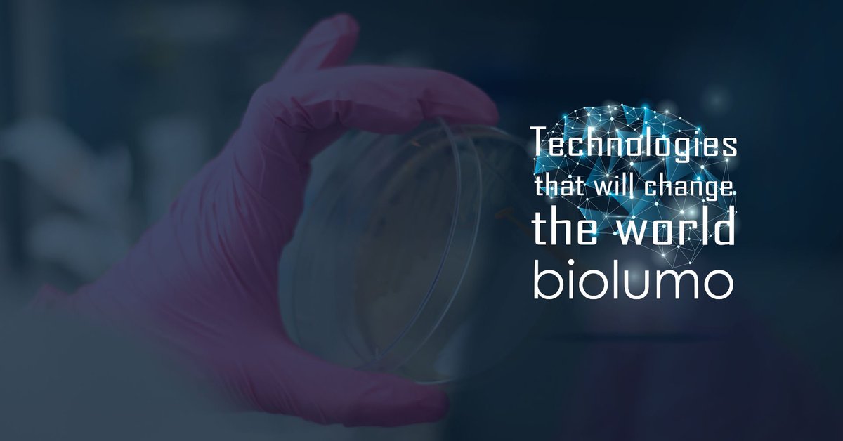 infosharepl tweet media