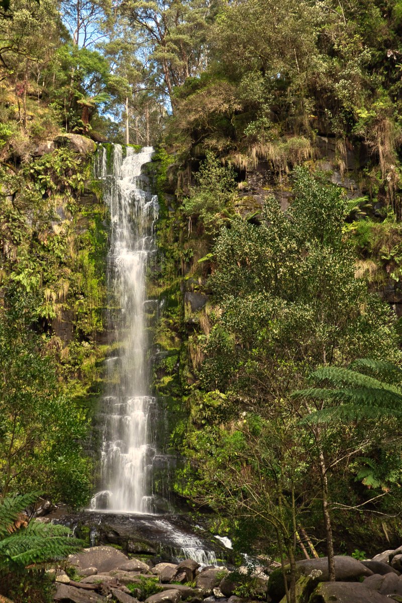 TravellingNikon's tweet image. Erskine Falls Lorne #erskinefalls #lorne #parksvic #seeaustralia #travellingaustralia