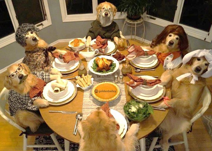 TheEnergyInst's tweet photo. Feng Shui tips for Thanksgiving:  Invite an even number of guests.  Set the dining table up in pairs: 2, 4, 6, 8 chairs create harmony.  Keep the lighting low and decorate with soothing earthy colors. Bring out your best stuff: add golds for wealth energy.  And, give thanks! #chi https://t.co/FGxB2ekAuO