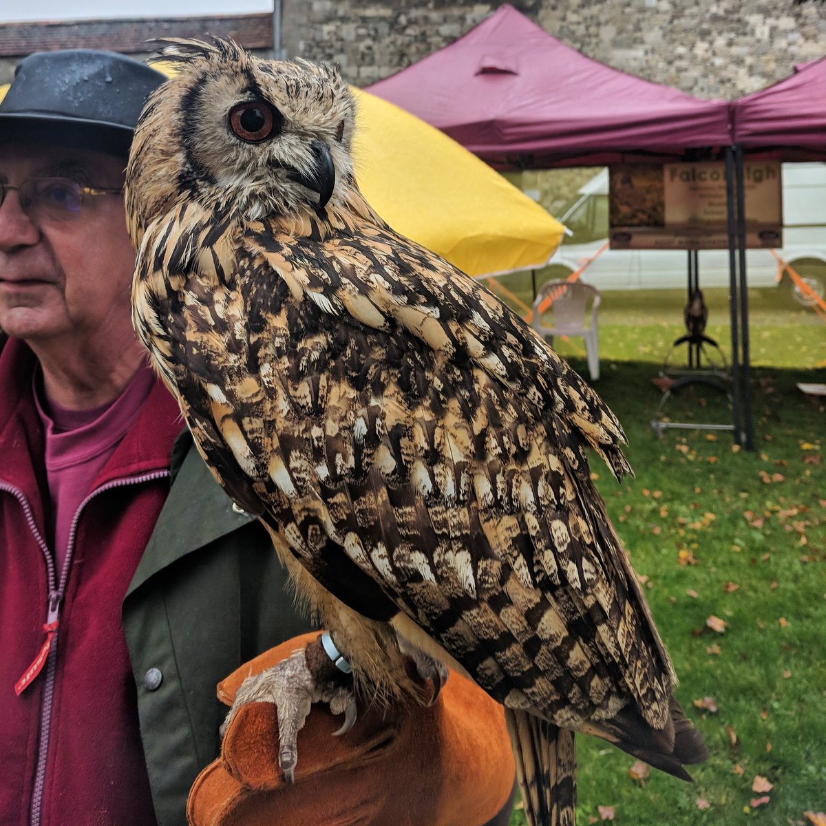 Moon Roast Coffee tweet media
