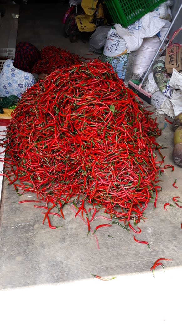 dpkppandeglang's tweet photo. Kegiatan akhir pekan Bidang Hortikultura Panen Cabai Merah seluas 2.8 Ha di Desa Pamarayan, Kecamatan Jiput πΈ @henisupiani @utaymuhtar @herieyssofian #panen #cabai #keriting #merah #hortikultura #prtanian @Hortikultura21 https://t.co/U7KK96y21h