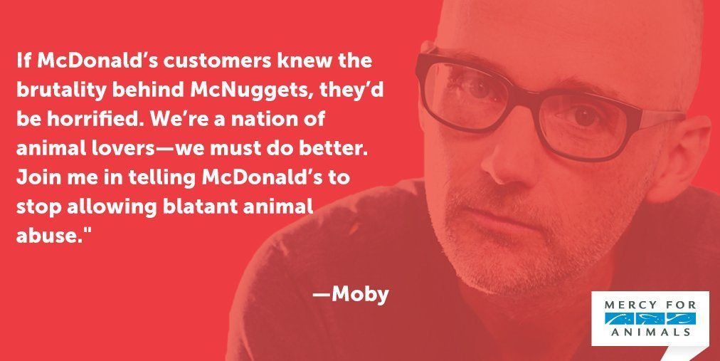 MercyForAnimals's tweet photo. Thank you for supporting our @McDonalds cruelty campaign, @thelittleidiot! #McDonaldsCruelty https://t.co/dkTqVC6UuA https://t.co/XWjQbplzTB