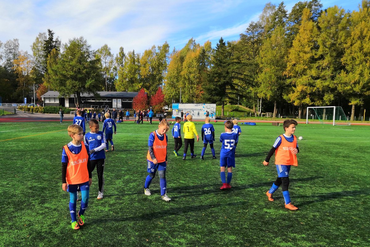 KoiPS P07 tweet media