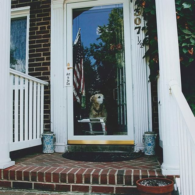 AlexArtsOffice's tweet photo. National Arts & Humanities Month continues. Today's theme is Animals.
Here is another throwback to 2012 to Linda Hesh (@lindahesh) and the "Art is... Doorknob Hanger Project." Even dogs love art.
#NAHM #showyourart2018 #exploredmv #alexandriava #bythin… https://t.co/JehbwyTirP https://t.co/DMzUb7byW0