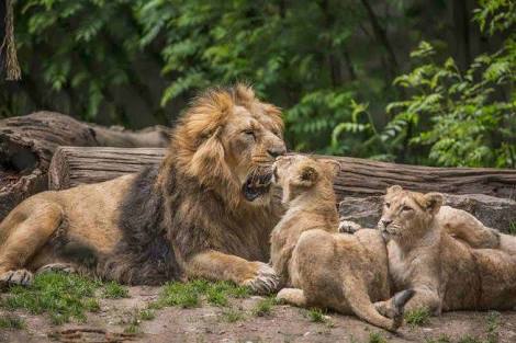 RefiloeShalang's tweet photo. Nature brings your mind back on track. Nelspruit nature reserve, this wonderful place offer hiking trails, scene views and a range of native animals and birds. Just visit place and explore more. #eng2604 https://t.co/nyR0xAf6Oq