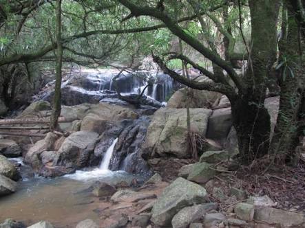 RefiloeShalang's tweet photo. Nature brings your mind back on track. Nelspruit nature reserve, this wonderful place offer hiking trails, scene views and a range of native animals and birds. Just visit place and explore more. #eng2604 https://t.co/nyR0xAf6Oq