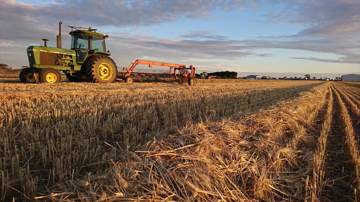 Raking up some frosted wheat 🌾 to be baled tonight. Making the best out of a bad situation #harvest18