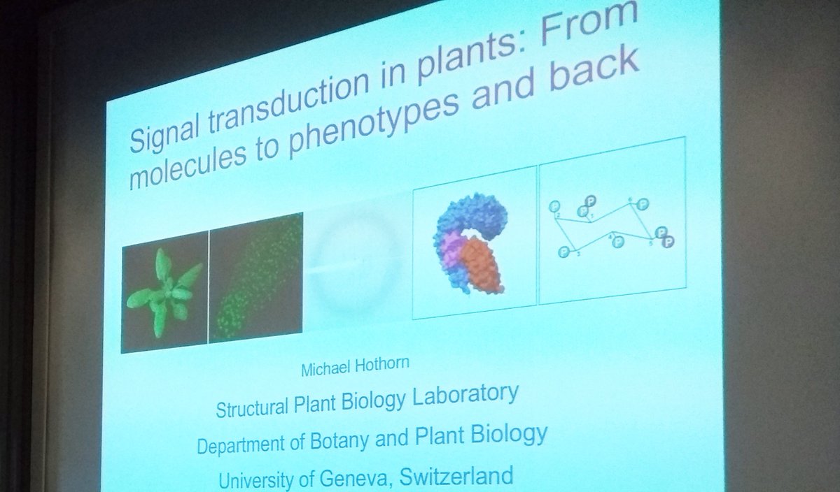 Awesome talk by Michael Hothorn @Structplantbio yesterday, showing how much you can learn working at different scales #frommoltophenotypeandback #Greatscience #UNIGE #Biveg